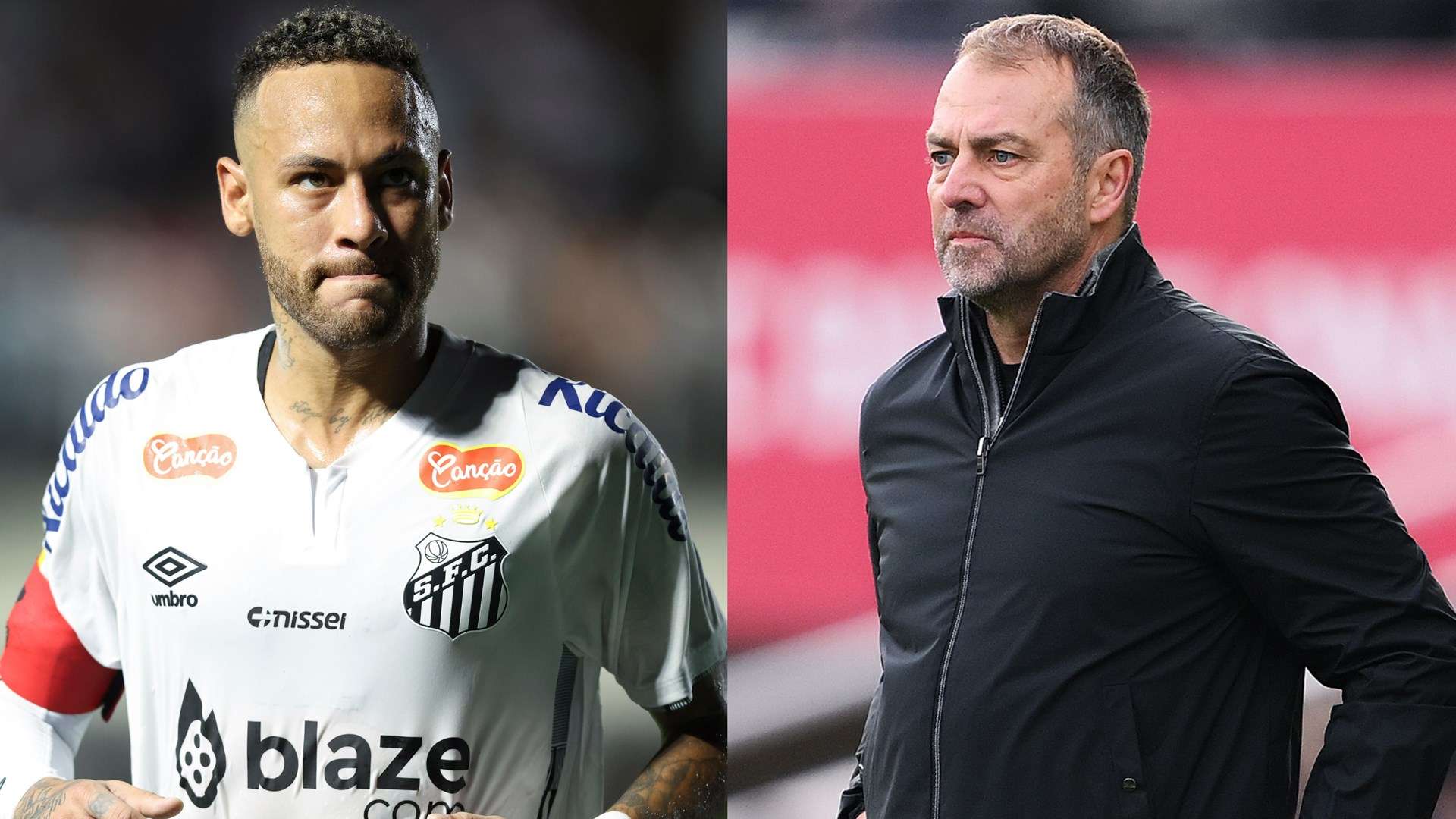 盛不衰的象 盛不衰的象